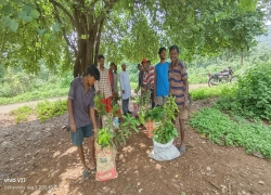 2nd Batch of Plants Distribution